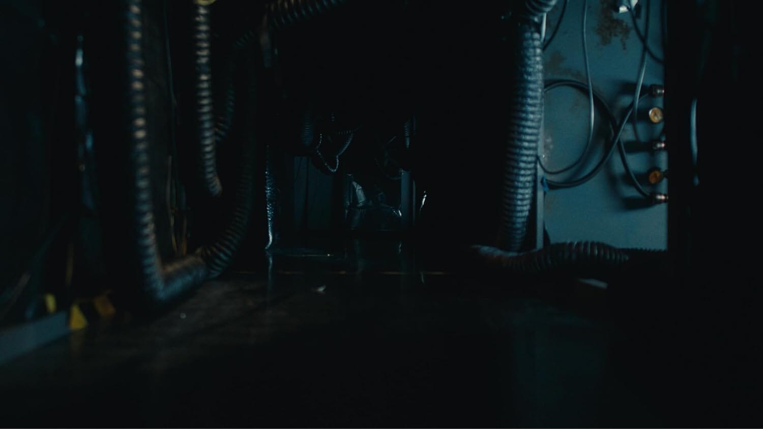 Dead Reset (R2) - PS5 Video Game Software GS2 Games Inc. 