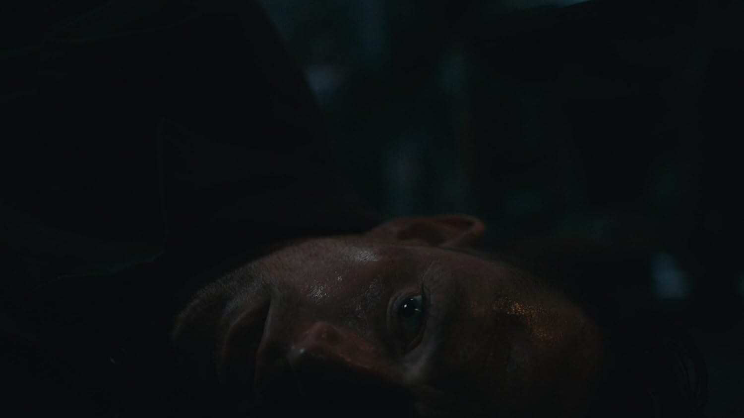 Dead Reset (R2) - PS5 Video Game Software GS2 Games Inc. 