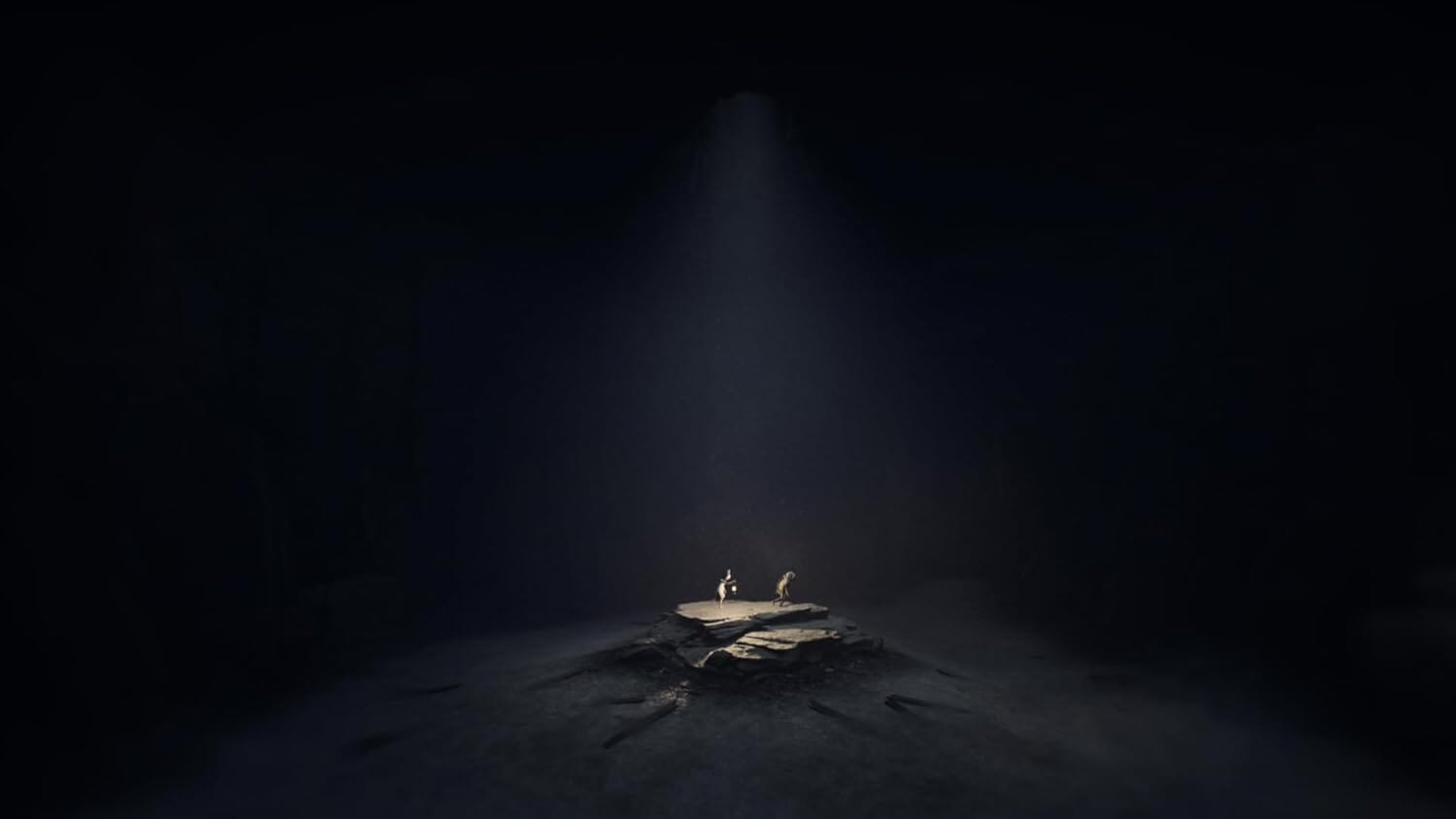 Reanimal (R2) - Nintendo Switch 2 Video Game Software THQnordic 