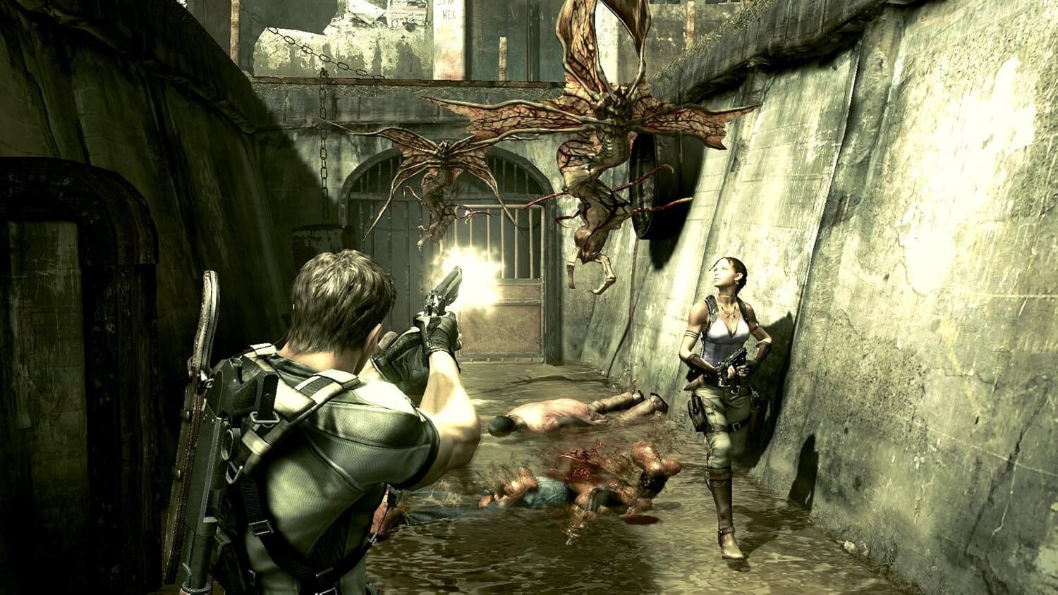Resident Evil 5 (R2) - PS4 Video Game Software Capcom 