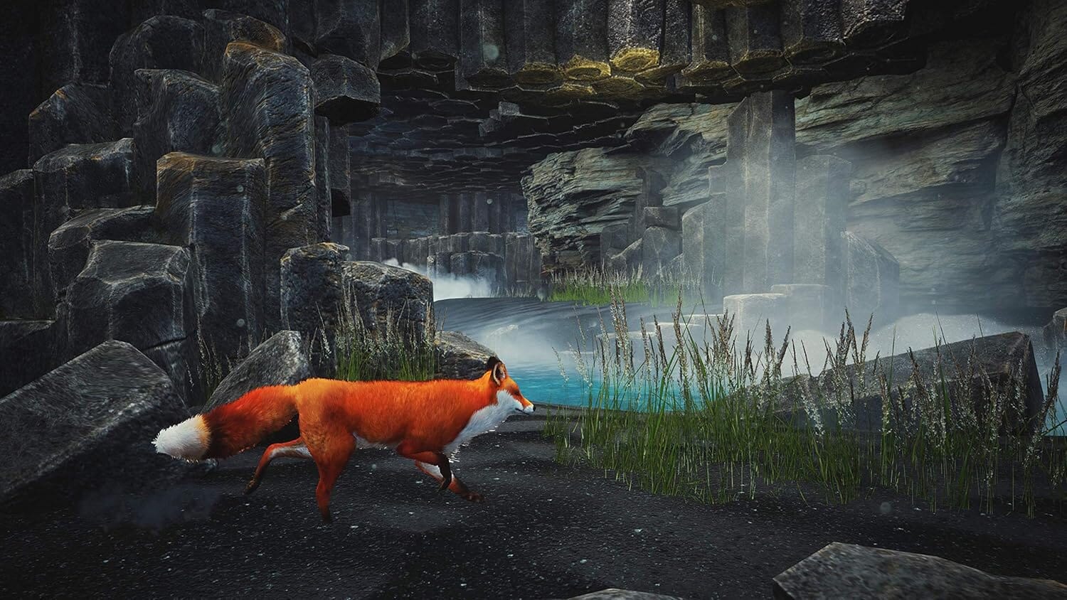 Spirit of The North (R2) - PS5 Video Game Software Merge Games 