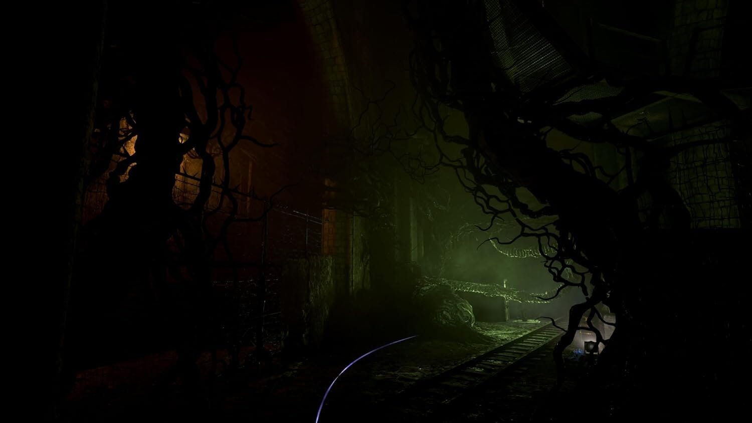 v (R2) - PS5 Video Game Software PM Studios 