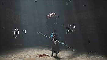 WUCHANG: Fallen Feathers (R2) - PS5 Video Game Software 505 Games 