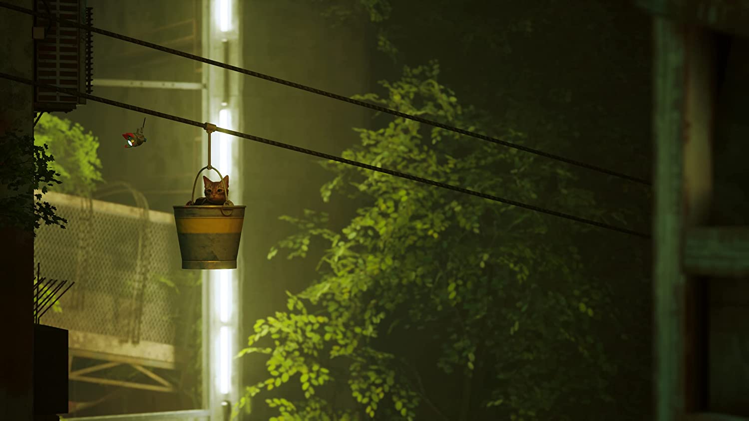 Stray (R2) - PS5 Video Game Software Iam8bit 