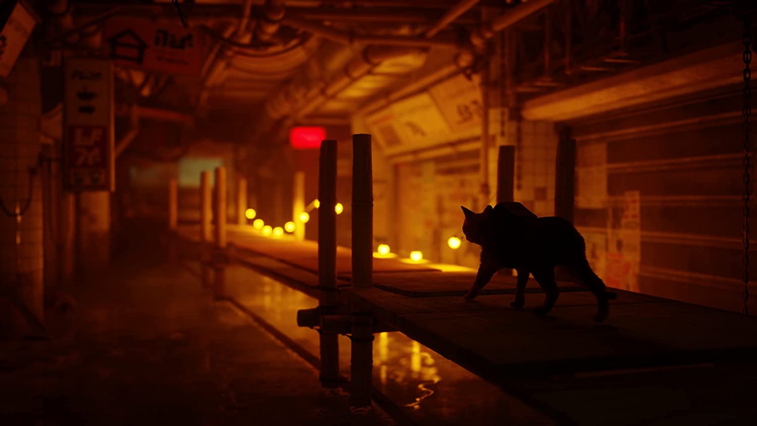 Stray (R2) - PS5 Video Game Software Iam8bit 